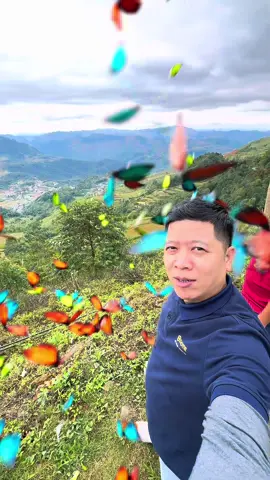 Suy nghĩ tích cực làm tích cực #ThiCongNoiThatBep #BepDepGiaTot #NoiThatGiaDinh #LapDatBep #NoiThatThongMinh 