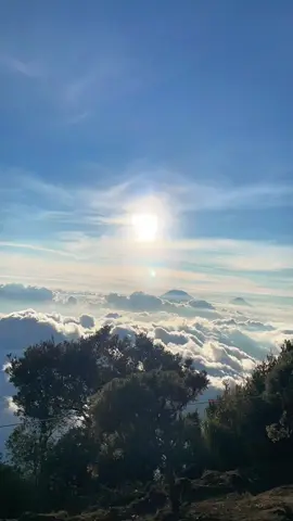 Sunset ditanah merbabu + Timelapse Candu bangett. #masukberanda #fyp #pendakigunung #merbabumountain #pendaki 