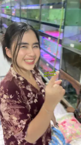 info yang jual kraken plis🥰 #mifftwills @miftahmbrk #couplegoals #couplecomedy 