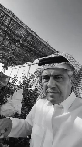#تيك_توك #fyppppppppppppppppppppppp #فهد_الصبيح #قصص #سندي @فهد الصبيح 