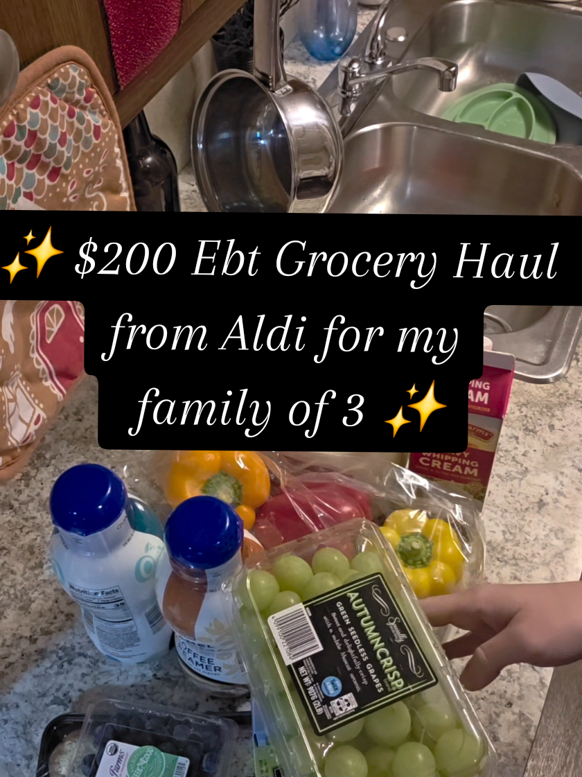 #groceryhaul #ebt #fypシ゚viral #roadto10k #womensupportingwomen 
