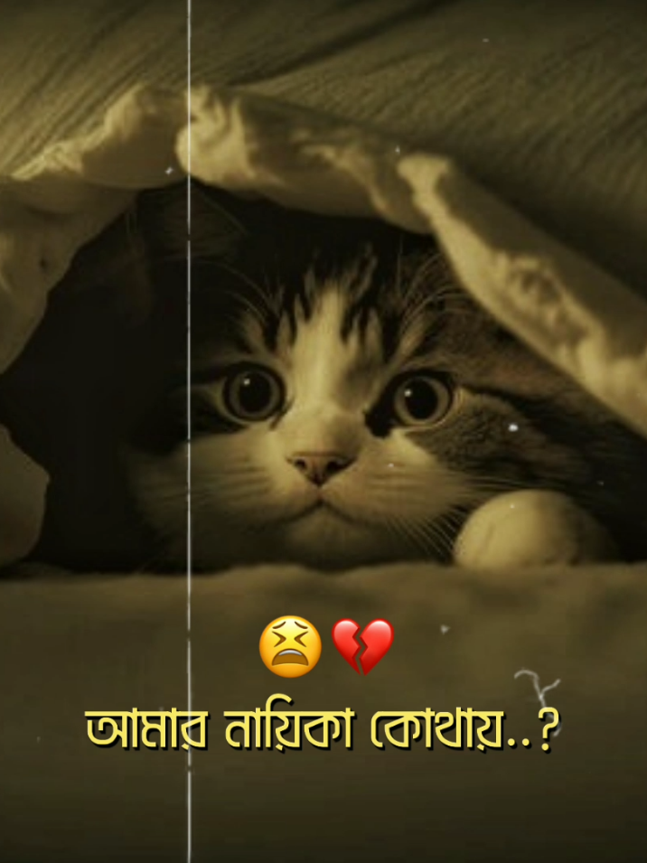 - এই শীতে বউ চাই, বউ ছাড়া শীতের রাত চলে না..!!😫💔 #lyrics_songs #lyrics #foryou #foryoupage #lyrics_tamim_  @TikTok Bangladesh @For You House ⍟ 