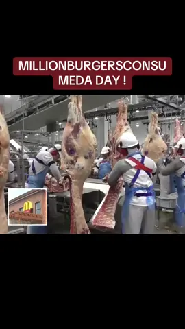 #mcdonalds #cows #fyp #conspiracytiktok #america #news 