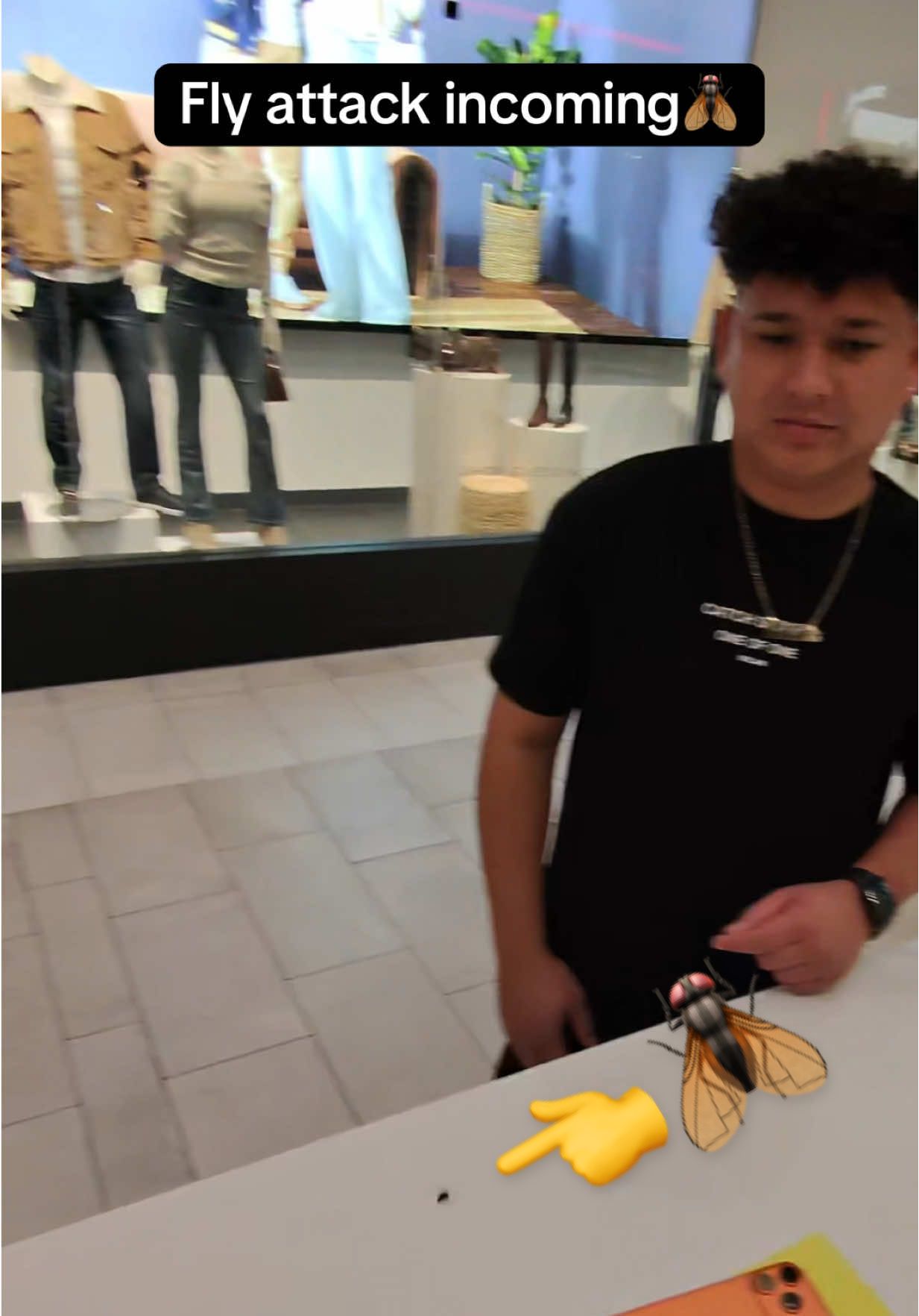 This Fly Tried to Jump Me Mid-Sale… So I Sprayed It Like Raid With Alcohol 😂🪰  #jumped #fly #iphonerepair #funnymoments #fyp 