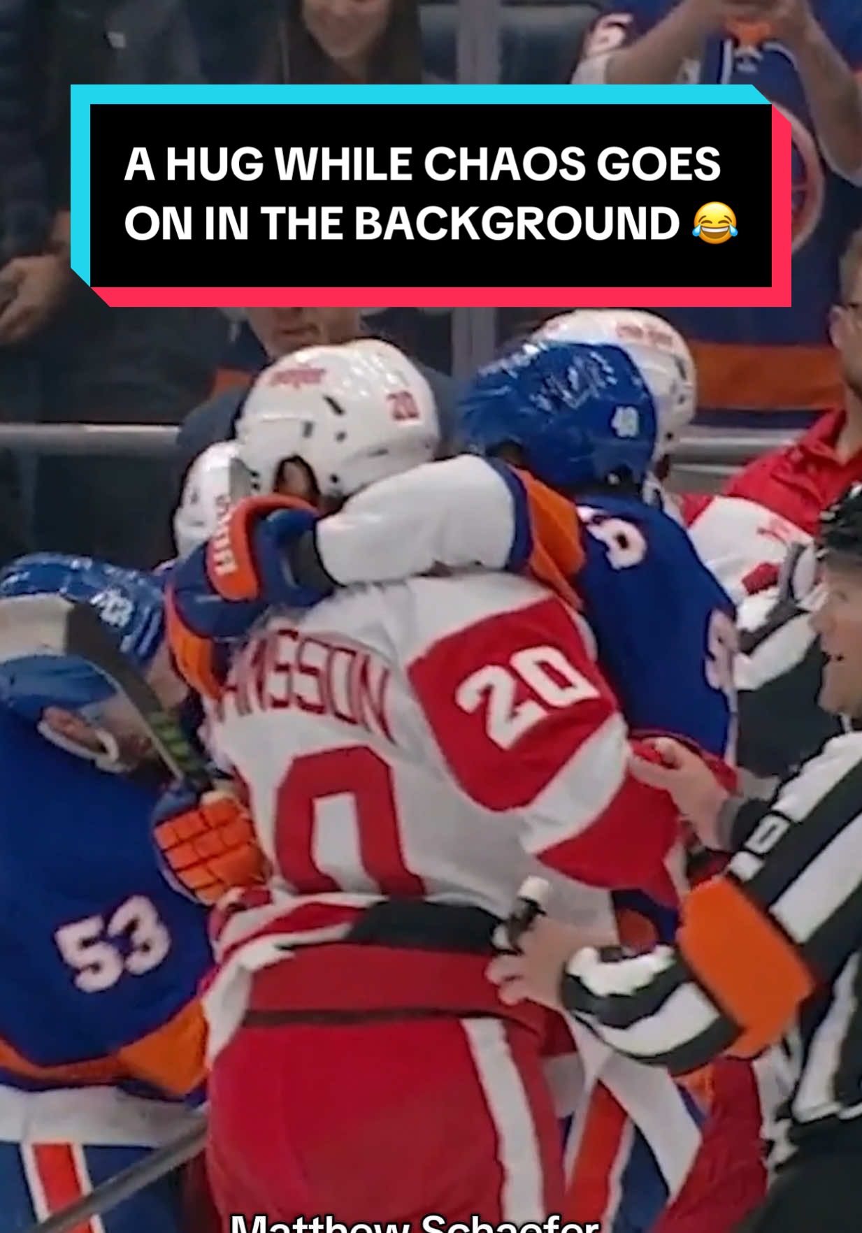 in the chaos Schaefer finds a friend 🤭 #NHL #hockey #sports #blooper #MatthewSchaefer 