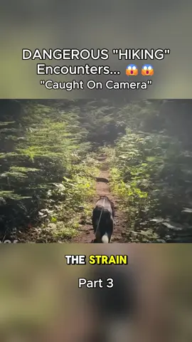 #encounter #disturbing #caughtoncamera #storytime #fyp 