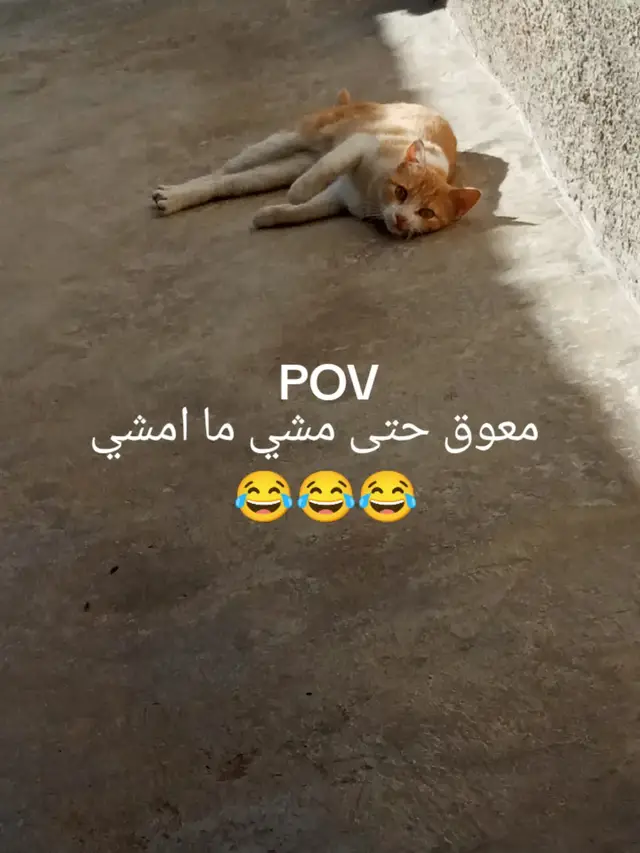 #الشعب_الصيني_ماله_حل😂😂 #لايك #اكسبلورexplore #tracking #متابعه 