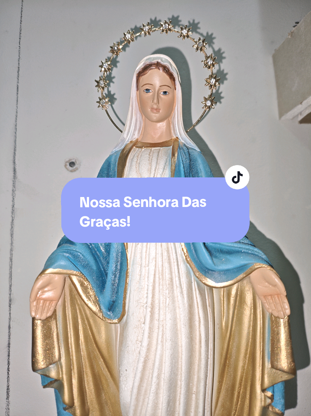 Imagem Nossa Senhora das Graças! #nossasenhoradasgracas #nossasenhora #tiktokblackfridaybr 