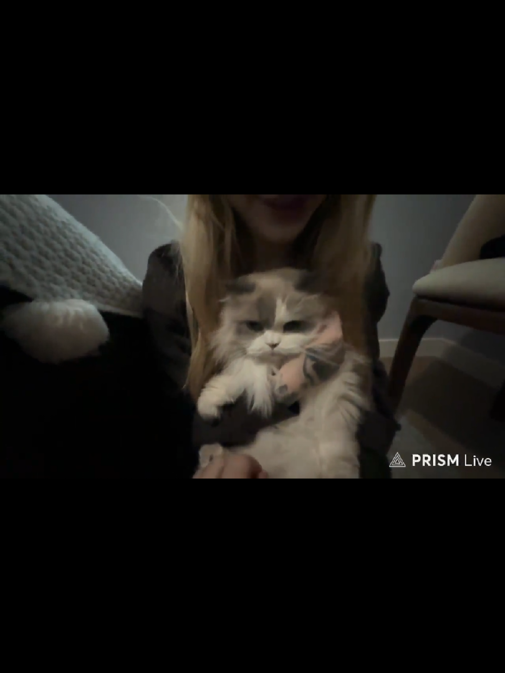лера показывает своего кота #dangerlyoha #денжерлёха #морфи #morphe #переезд