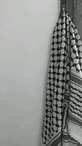 هل نسيتو فلسطين #فلسطين🇵🇸 #فلسطين #غزة_العزة🇵🇸 #غزة_فلسطين #غزة 