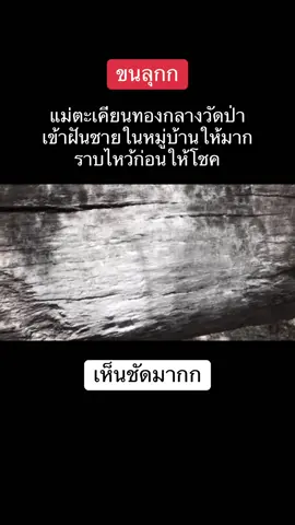 #แม่ตะเคียน 