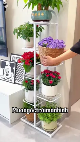 Tối ưu không gian diện tích #kedechauhoacaycanh #dogiadung #giadungtienich #xuhuong 
