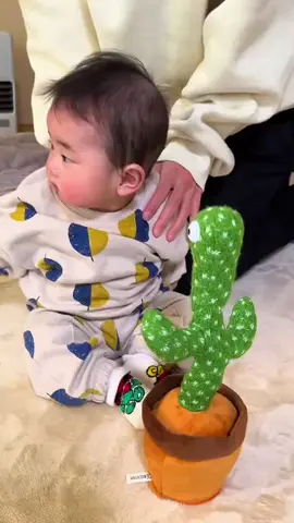 His giggles when cactus copies him 😍💖 #baby #babies #talkingcactus #babytoys