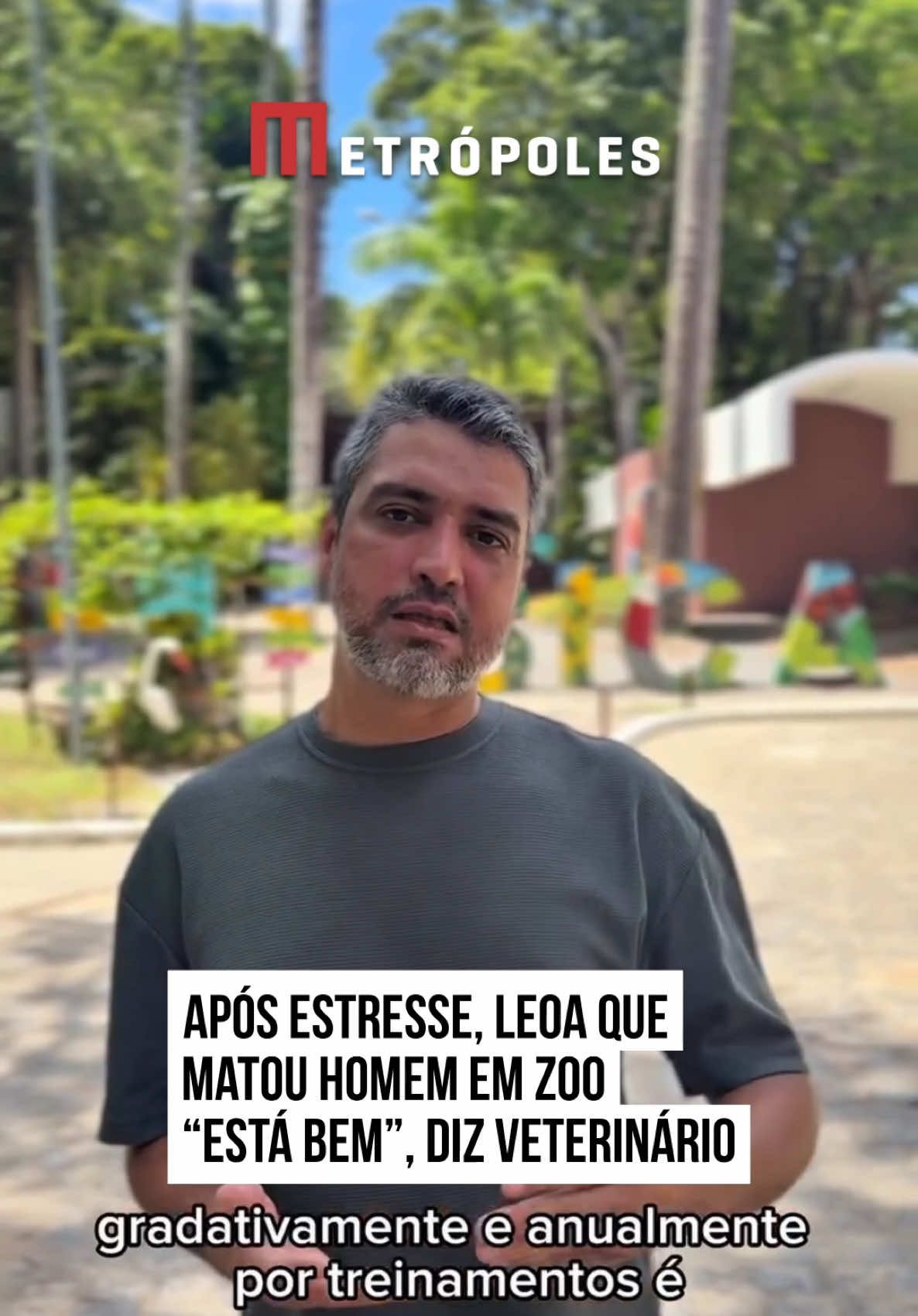 O Parque Arruda Câmara, conhecido como #Bica, em #JoãoPessoa, na #Paraíba, se pronunciou após um homem m0rrer atacado pela leoa do local. Nas redes sociais, o parque postou um vídeo do veterinário responsável, Thiago Nery, que disse que o animal, apesar do estresse, “está bem e tranquilo” após o incidente. Um homem m0reu na tarde deste domingo (30/11) após invadir o recinto da leoa. A vítima, que segundo informações preliminares sofria de transtornos mentais, entrou de forma irregular na área restrita do animal e acabou sendo fatalmente atacada. #tiktoknotícias 📹 Parque Arruda Câmara Bica | @myhoodbr