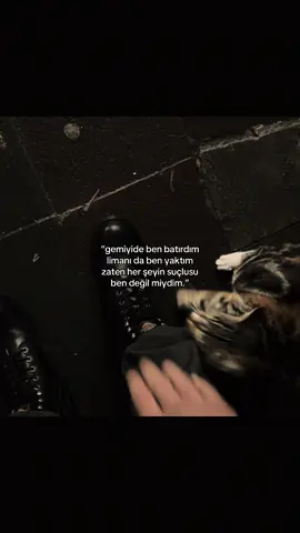 hatırlatma, havalar soğumaya başladı artık dışardaki dost canlısı arkadaşlarımıza lütfen mama almayı ve su vermeyi umutmayalım teşekkürler