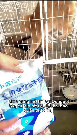 Túi zíp tiện lợi 5kg cho mèo có 5 loại topping #meo #thucanchomeo 