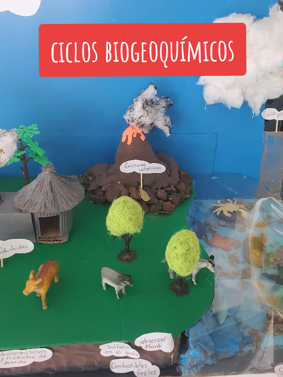 Maquetas de los ciclos biogeoquímicos hechos por mis alumnos de preparatoria ¿Cuál es tu favorita? 🌱✨️ . . . #ciclosbiogeoquimicos #maquetas #oaxaca #escuela #tareasescolares 