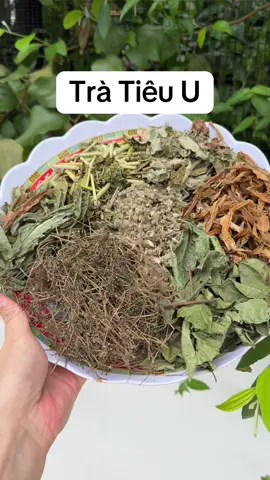 Trà hỗ trợ tiêu u tại nhà 