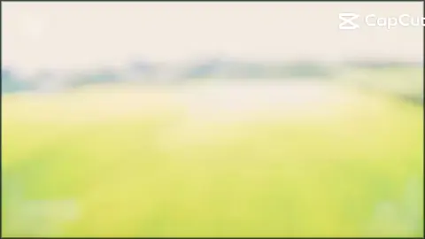 đi đâu cũng không đẹp bằng quê mik