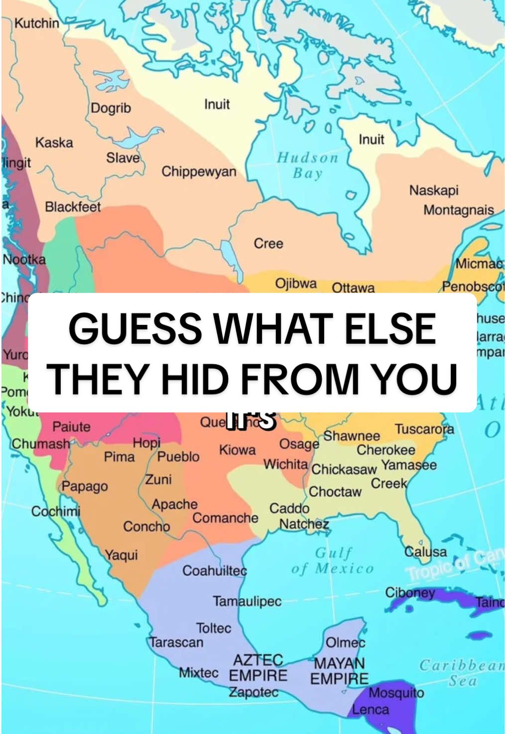Not only were Camels discovered in America but many other things they hid from you… Click link in bio for Unlock the Matrix Ebook  #hiddenknowledge #hiddentruth #truthseeker #fyp #america 
