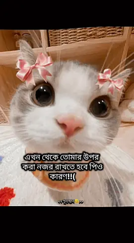 Only love is decreasing day by day.