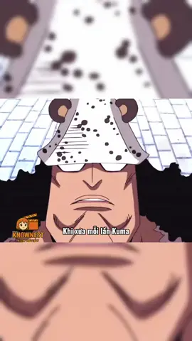 Sự Thật Chấn Động: Kuma Đã Âm Thầm Bảo Vệ Luffy Suốt Nhiều Năm!#onepiece 