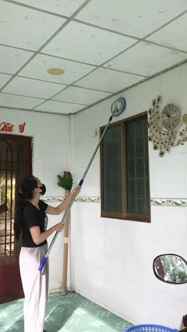 cây lau dài,chắc lắm,lau cũng dễ nữa#caylautrannha #caylautuongtrannha #caylautuong #caylaunha 