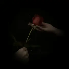 #CapCut 
