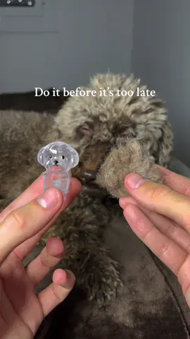 Dog owners will love this dog keychain ❤️‍🩹🐾 #dogowner #dog #dogmom #petmemorial #petloss 