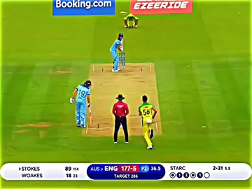 one of the best Yorker of Mitchell Starc 😲|Best bowler of Australia 🦘#fyp #viralvideo 
