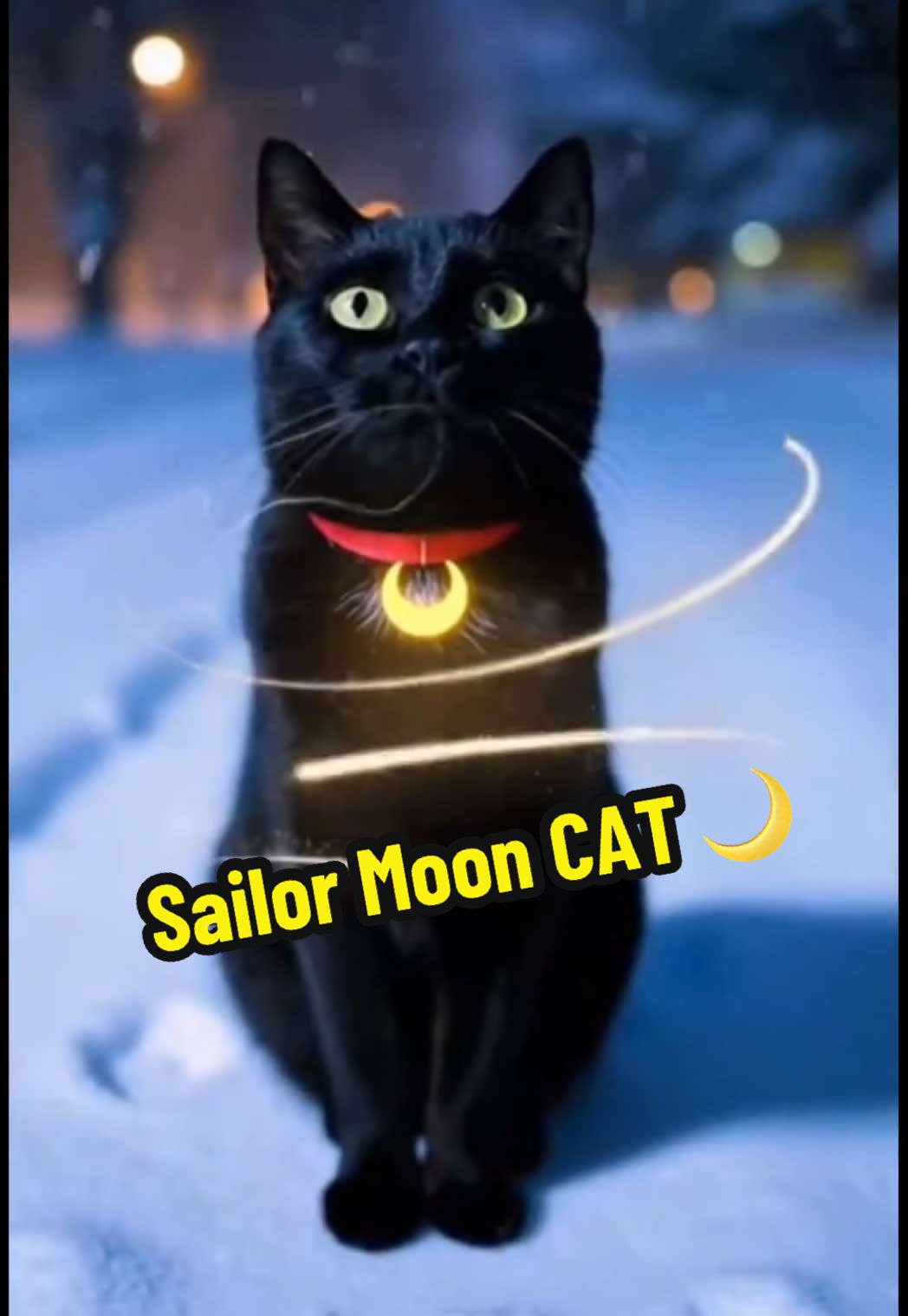 Sailor moon CAT (transformation) 🐈🐈‍⬛🌟💖🎀#cat #sailormoon #transformation #funny #fyp 
