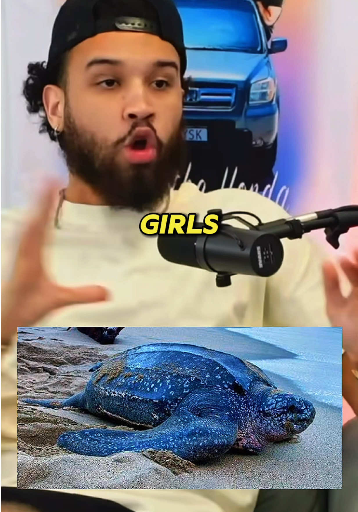Black Mamba or leather back sea turtle #yskpodcast #youshouldknowpodcast #funny_video #blackmamba #seaturtles 
