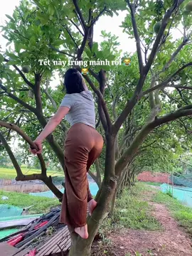 Con tàu anh lái #xuhuong #tamtrang #nhactamtrang 