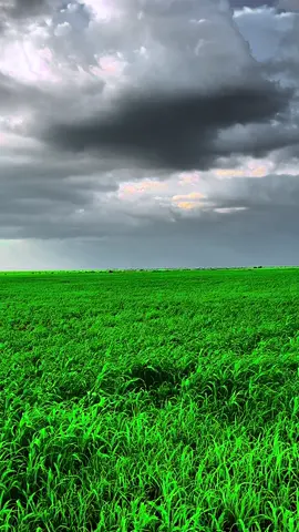 #مشاهير_تيك_توك_مشاهير_العرب #البطانه_جمال_الباديه_والريف 