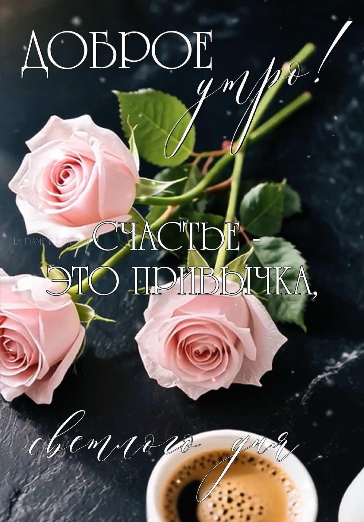 Доброе утро, светлого дня! #доброеутро #длядуши #друзья #recommendations #свежее 