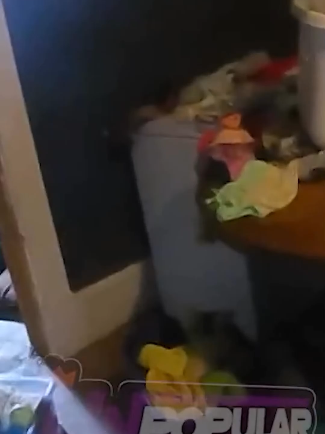 #bodycam #copsoftiktok #cops #POLICE