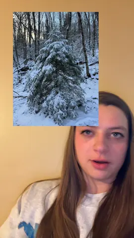 I’ve been crying/laughing for like an hour #christmas #tree #treefail  Update posted :)