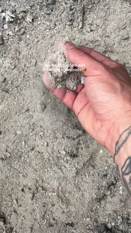 gathering some wood ash for glaze :) #pottery #asmr 