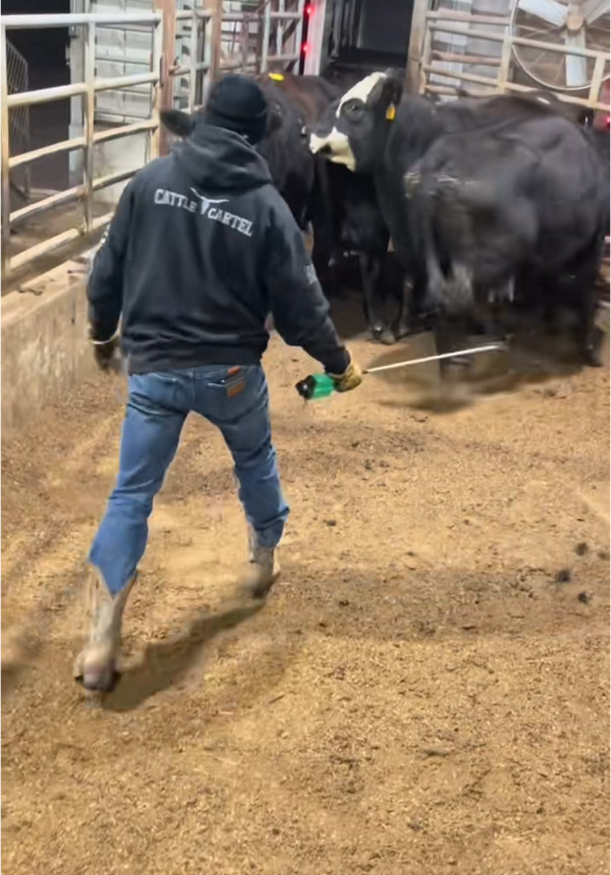Cowboy life #bryanleecattlelife #goat😈 #redemption #livestock #cattledrive 