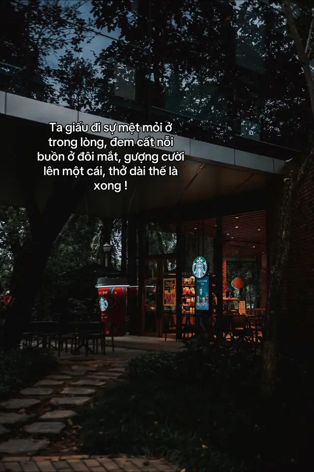 Ta giấu đi sự mệt mỏi ở trong lòng, đem cất nỗi buồn ở đôi mắt, gượng cười lên một cái, thở dài thế là xong..#stt_buồn_tâm_trạng #tamtrang #caption #fybシviral #story 