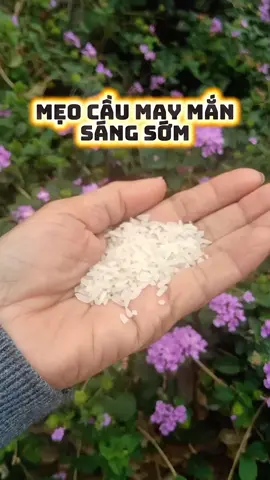 Mẹo cầu máy mắn sáng sớm #xuhuong  #tamlinh  #tailocmayman 