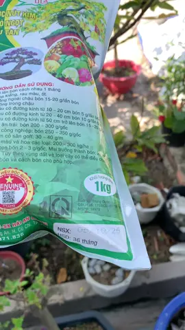 Phân bón NPK 17-17-17 te 1kg thúc nụ kim cho hoa mai🌼🌼 #phanbon #phanbonnpk #hoamai #nhachaukieng 