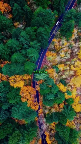Huele a la mejor colaboración del año, así este por acabarse 👁️💚 Ojitos verdes Alex Ponce x Christopher Vélez  Dic 10 🫡