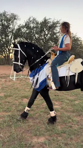 Viva hondura hjdp👌❤️❤️ @Rancho WP 🐎🫡🐄 