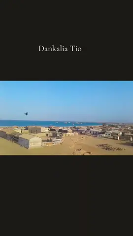 #Dankalian _Afar-eritrean_tiktok @SHABAH Al Bahar 🇪🇷🌊Al hikma @qassabadih caffo12 @Wik wak @Red Sea Afar @Afarino dankal @Red Sea Afar 88 @shehim Ahmed @Robito @Qasa Bad Niimi @Abi Eddi @Züpper Söni Bäxä @gile'li 