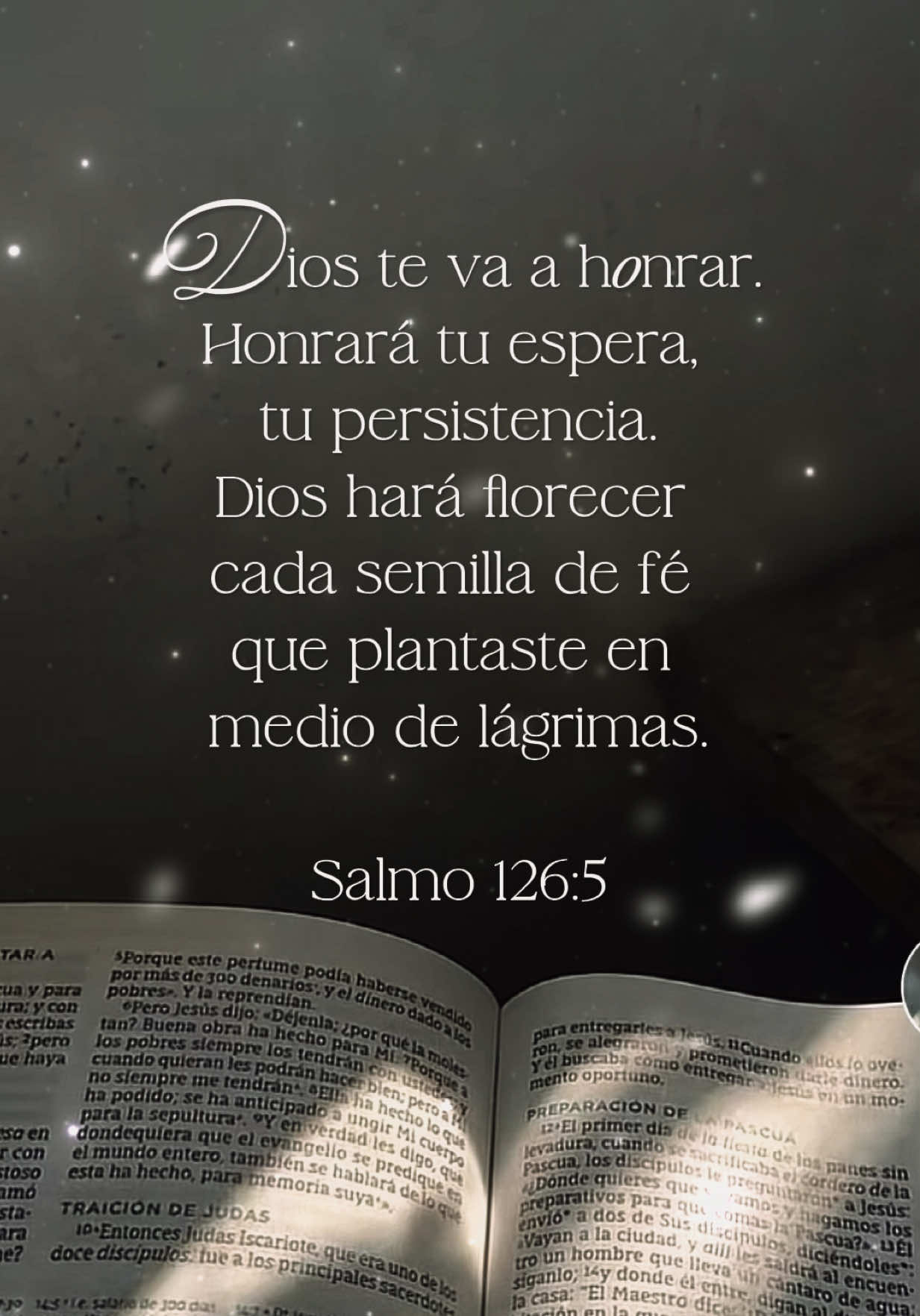 Salmo 126:5 Los que con lágrimas siembran, con regocijo cosechan.