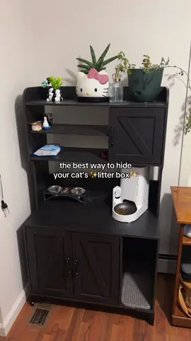 It’s so cute and comes with a litter mat! 🖤✨ #catfinds #hiddenlitterbox #catsoftiktok #functionalfurniture #tiktokholidayhaul 