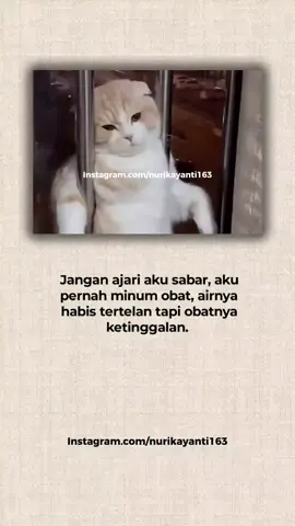 #quotesislam #quoteslucu #sadquotes #indiasong #fyp 