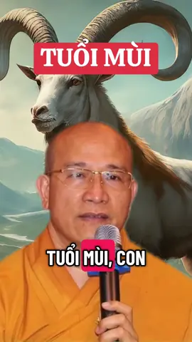 TUỔI MÙI #tuoimui #tamlinhphongthuy #viral #fyd #xuhuongtiktok 