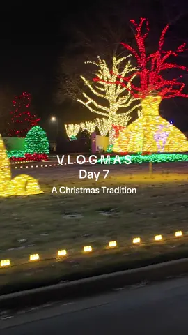 Just wait until you see the last house 🎄😍. Did yall do this growing up?  #christmastraditions #christmaslights 